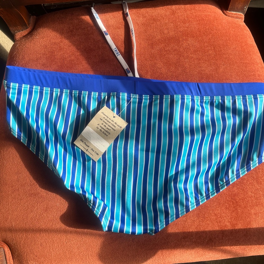 Blue Striped Men's Swim Trunks - Picture 3 of 3